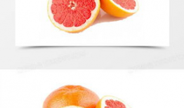 柚子漫画,趣味横生的日常喜剧之旅